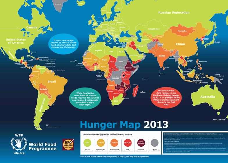 World Hunger Map